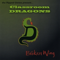 Classroom Dragons : Broken Wing