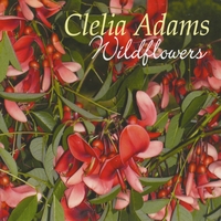 CLELIA ADAMS: Wildflowers