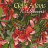 CLELIA ADAMS: Wildflowers