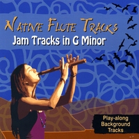 Various Artists : Jam Tracks in G Minor