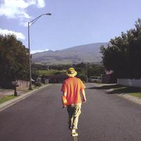 CHRIS OANA: Wolves