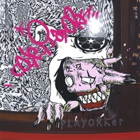 code;playork : PLAYORKer