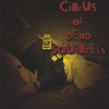 CIRCUS OF DEAD SQUIRRELS: Outdoor Recess