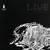 COLD FAIRYLAND: Live 2005