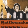 ROGER COLEMAN AND DANNY COX: Zacchaeus and the Rattlesnake Church