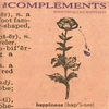 THE COMPLEMENTS: Something Like Happiness