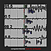 Computerchemist: Music for Earthquakes