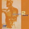 VARIOUS ARTISTS: Concert2Cure v.2 to Benefit the American Cancer Society