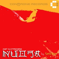 Sektor : Nuoja