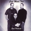 COOL MOOD TRIO: Soul Portraits