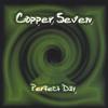 COPPER SEVEN: perfect day