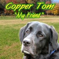 Copper Tom : My Friend