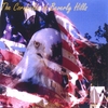 THE CORNFIELDS OF BEVERLY HILLS: I Pledge Allegiance(inspired by and written for President George W.Bush)