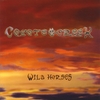 Coyote Creek: Wild Horses