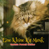 CYNTHIA POWELL HEALER: Eine Kleine Kat Musik