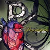 CRACAJAC: Percussions