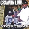 CRAWLING LINX: Appling Pressure Pt 2