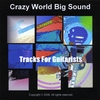 CRAZY WORLD BIG SOUND: Tracks for Guitarists