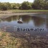 ROSS CREAN: Blackwater