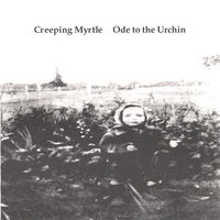 CREEPING MYRTLE: Ode to the Urchin