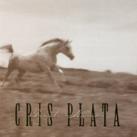 CRIS PLATA: Fresh Horses