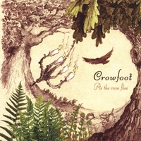 CROWFOOT: As the Crow Flies