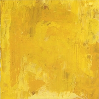 THE CRUCIAL FICTION: The Yellow Album