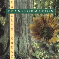 Carolyn Cruso : Transformation