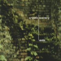 cryptic scenery : ontic
