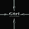 CTRL: Secure the Shadow