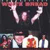 CONNECTICUT WHITE BREAD: If I Want Any Lip Out Of You I'll Shove My Hand In Your Pants