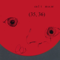 Cult Maze : 35, 36