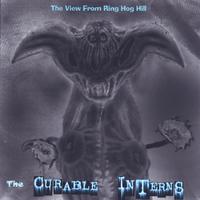 The Curable Interns : The View From Ring Hog Hill