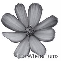 Curious Birds : The Wheel Turns