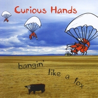 Curious Hands : Bangin' like a fox