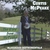 CURTIS MCPEAKE: The View From McPeake