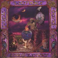 Celtic Wonder Band : Small Wonder