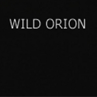 CHRISTINE WEBSTER: Wild Orion