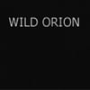 CHRISTINE WEBSTER: Wild Orion