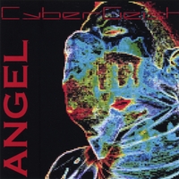 Cybergeist : Angel