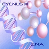CYGNUS X1: D.n.a.