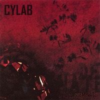 Cylab : Disseminate