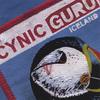 CYNIC GURU: Iceland