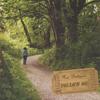 ROSE DAHLQUIST: Follow Me