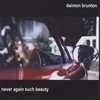 DAIMON BRUNTON: Never Again Such Beauty