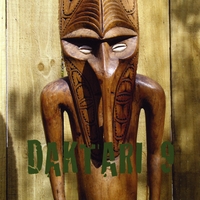 Daktari : Daktari 9