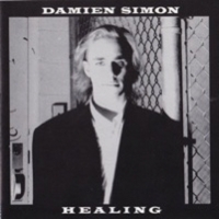 Damien Simon : Healing