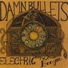 DAMN BULLETS: Electric Folk Boogie