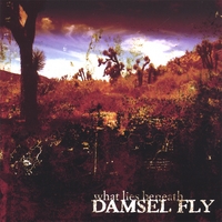 Damsel Fly : What Lies Beneath