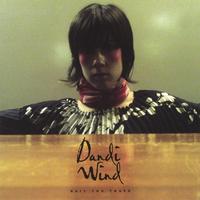DANDI WIND: Bait The Traps